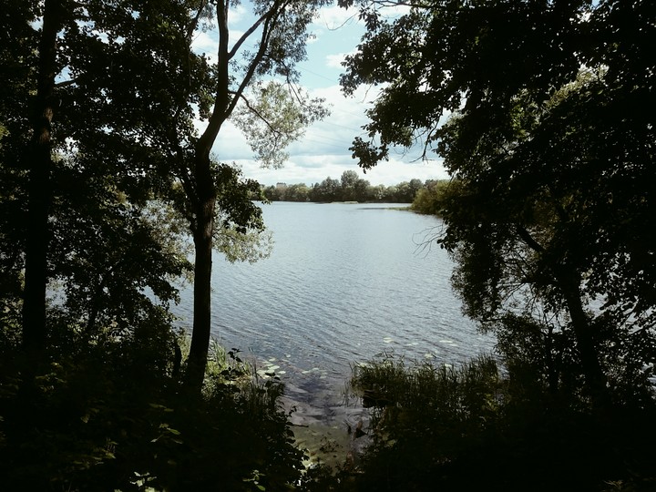 view)
