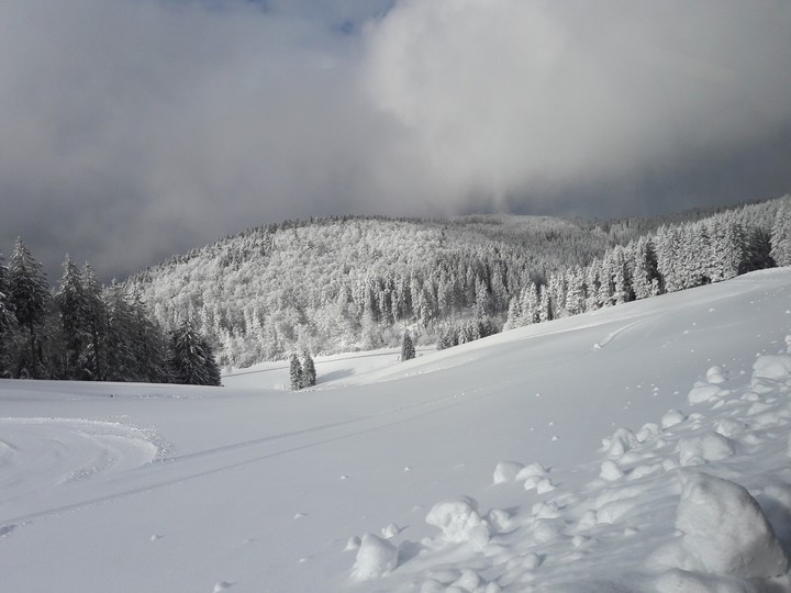 white winter