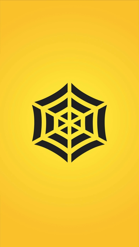 Minimalist Spider Net