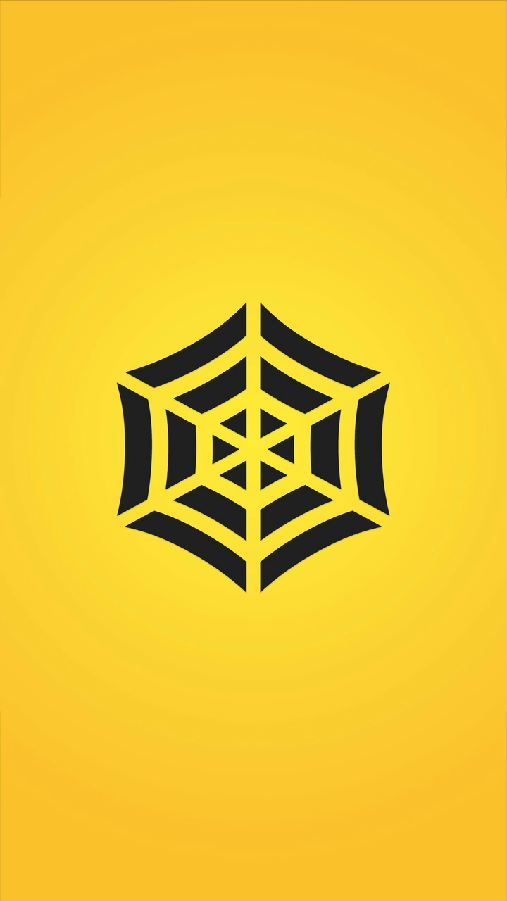 Minimalist Spider Net