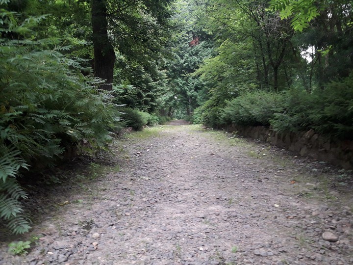 Road to the unknown