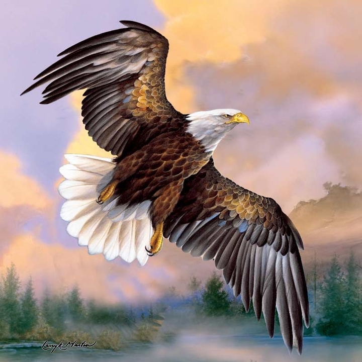 Eagle