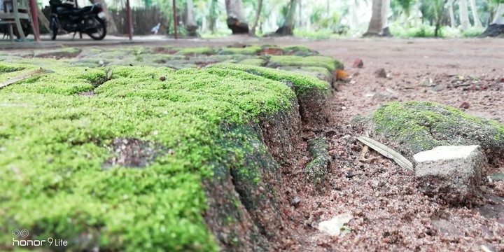 Green stone