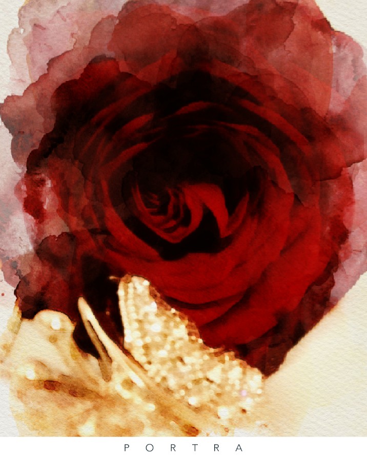 Red rose