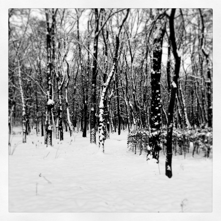 winter in Kiev
