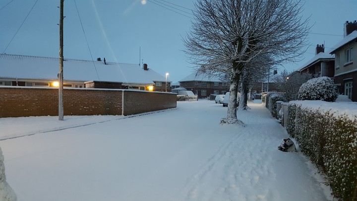Snowy morning