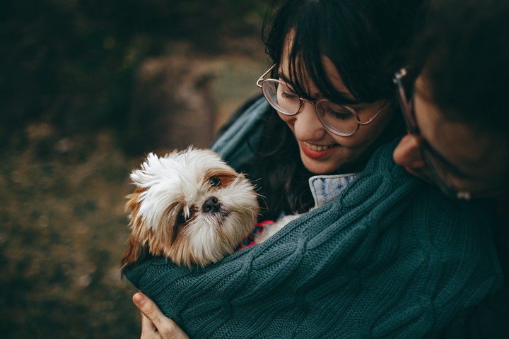 Cute Puppy