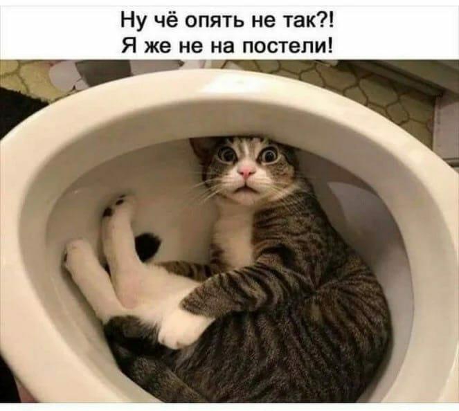 ????