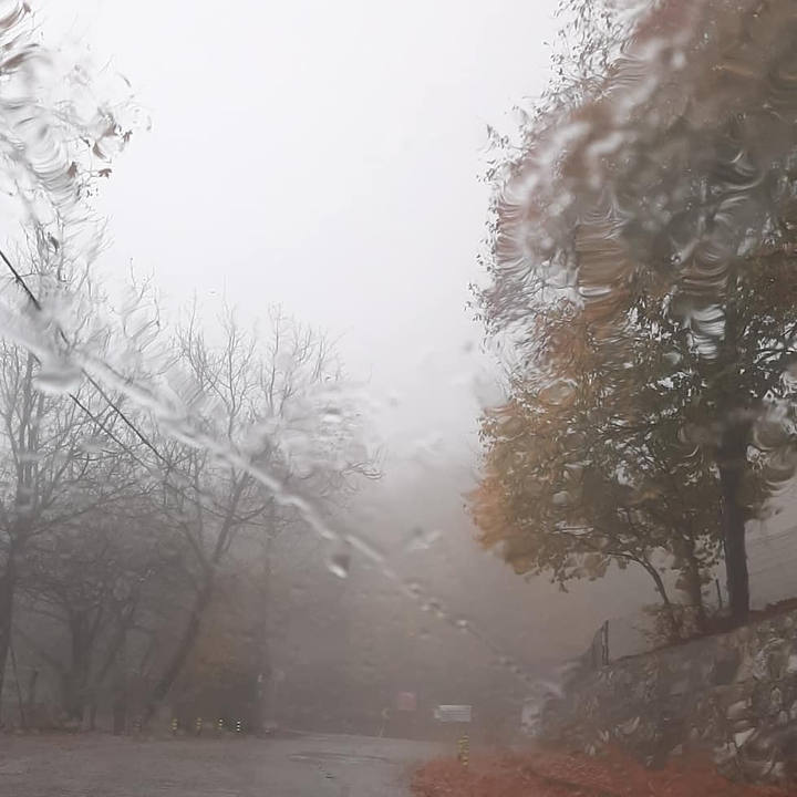 rain