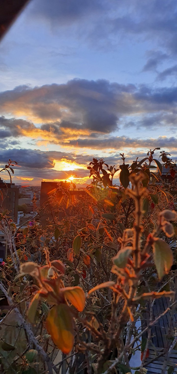 Atardecer Bogotano