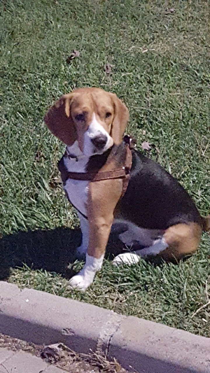 Duke