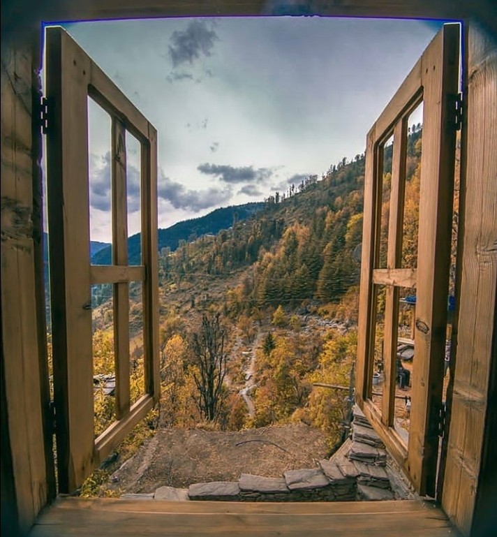 view