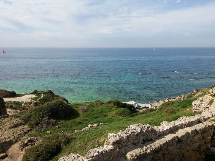 sea