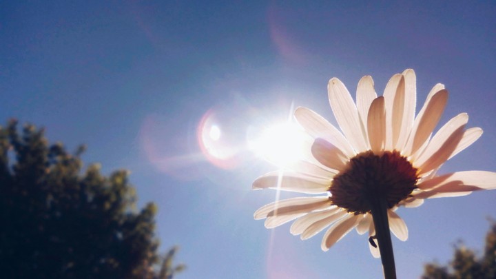 ☀