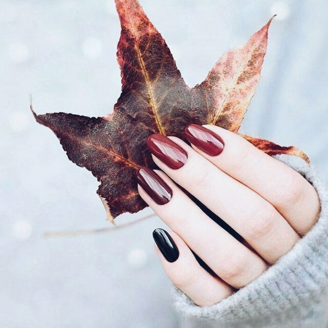 پاییز...... به..... خش خش. شش..... می نازه 