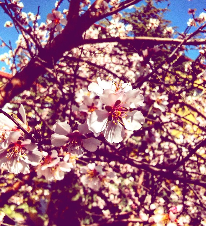 Spring