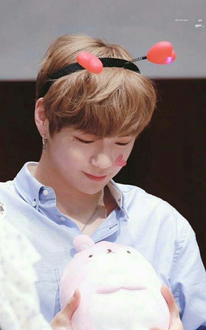 wanna one kang daniel