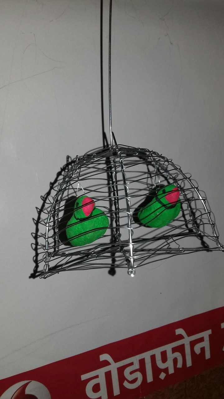parrot