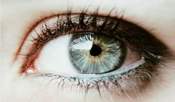 eye
