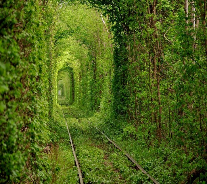 Amazing World