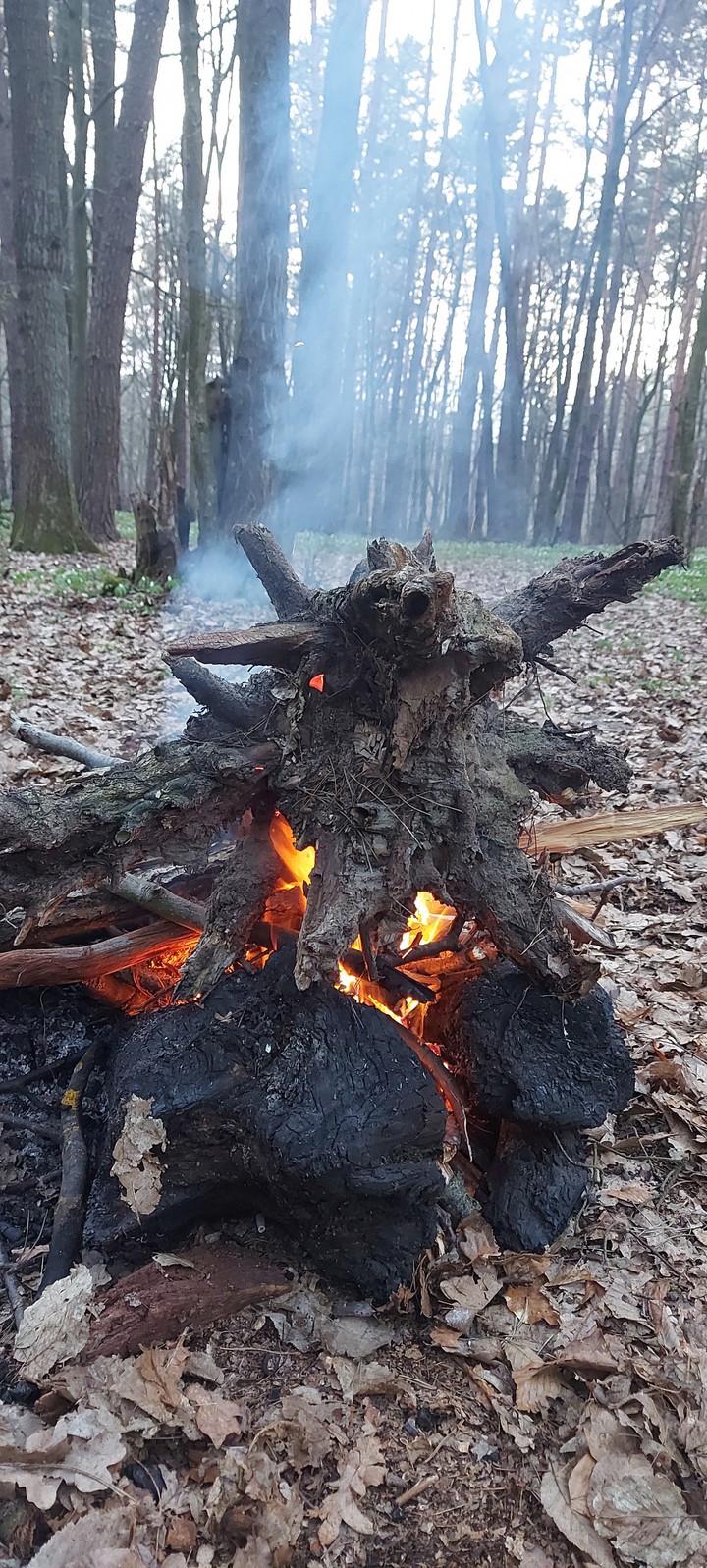 Горящий пень
