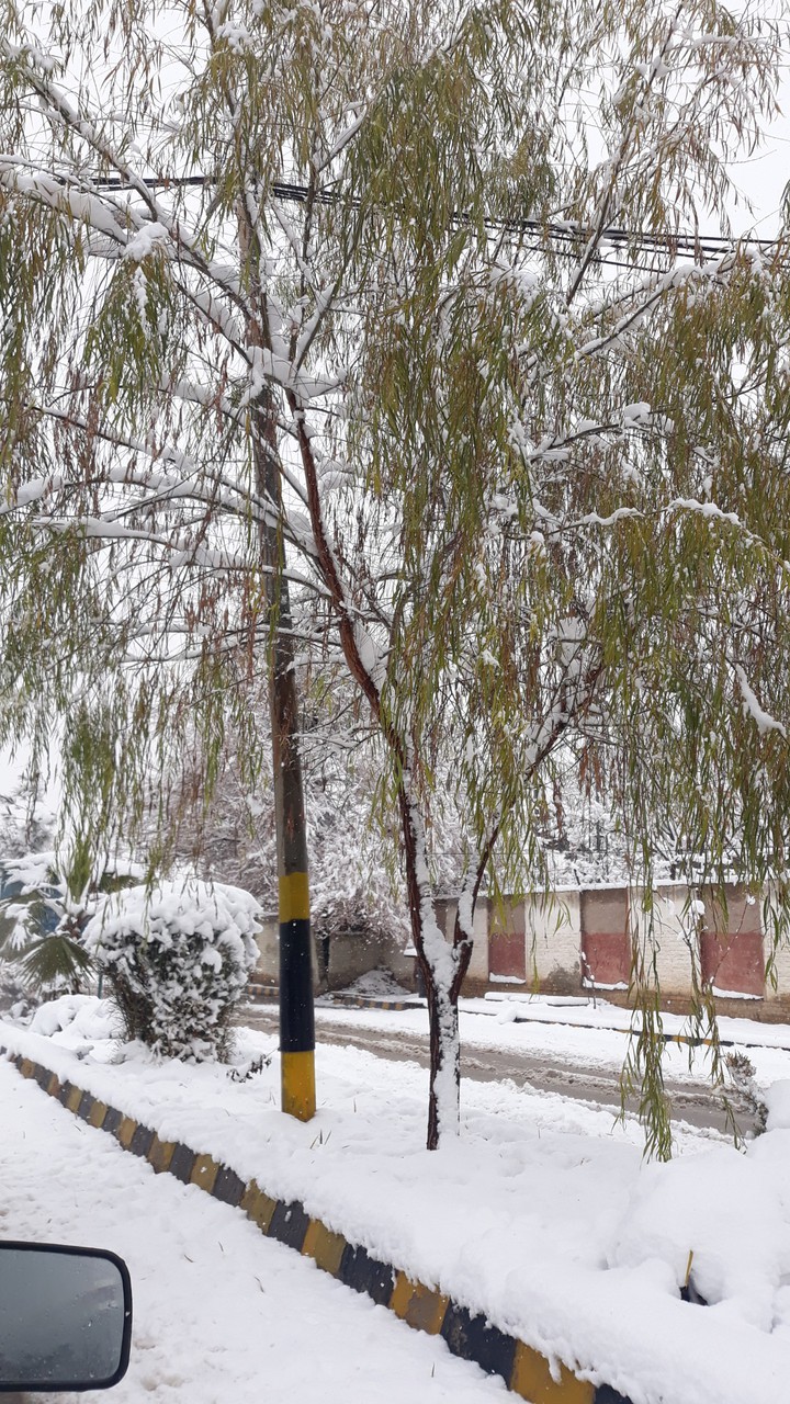 snow