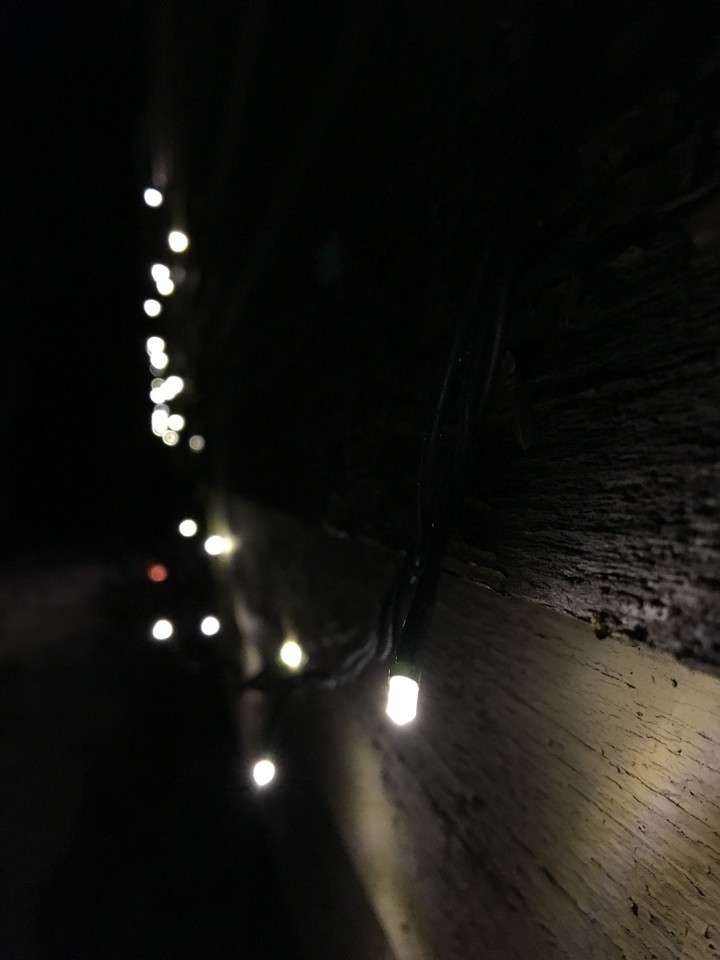 Lights in the dark