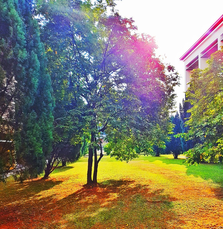 Rainbow