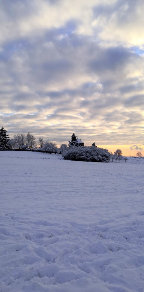 Winter view snow