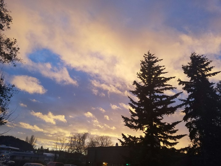 Beauty after the storm