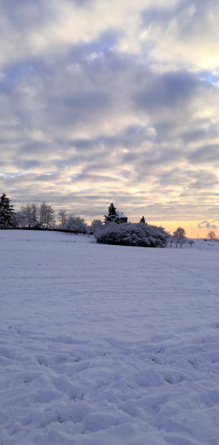 Winter view snow