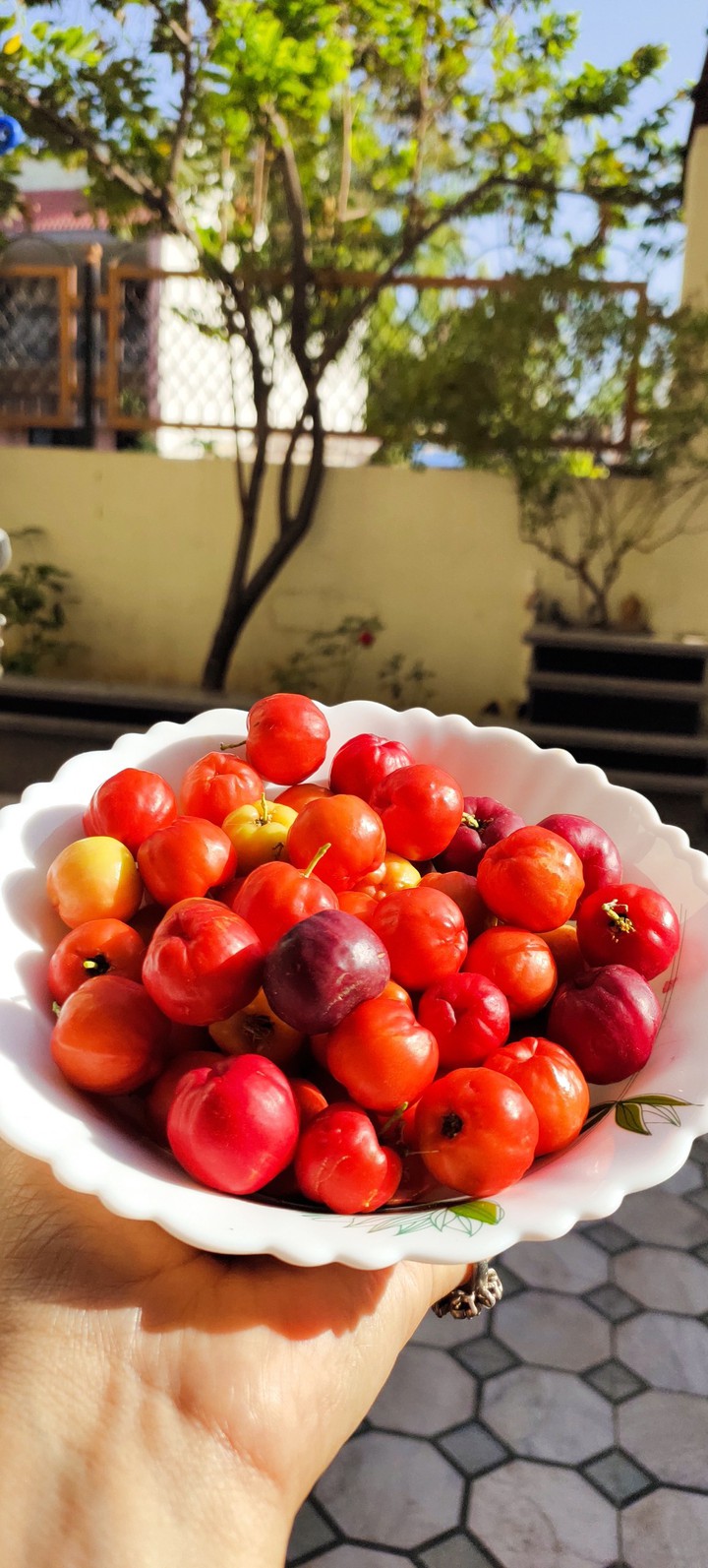Cherry