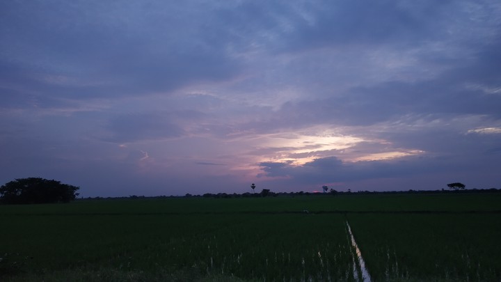 Sunset