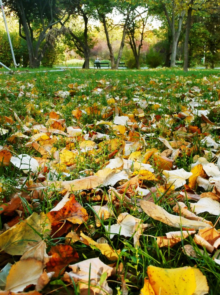 autumn