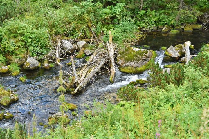 River