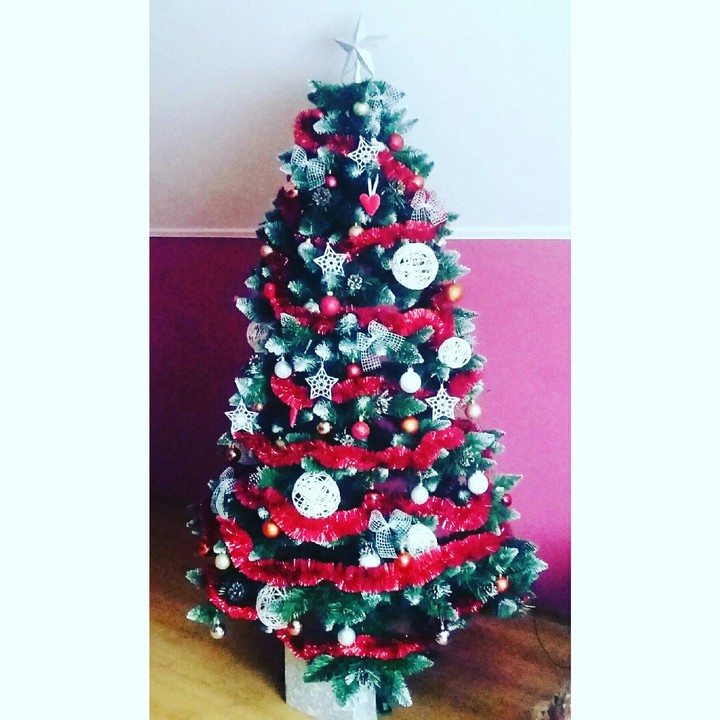 christmas tree