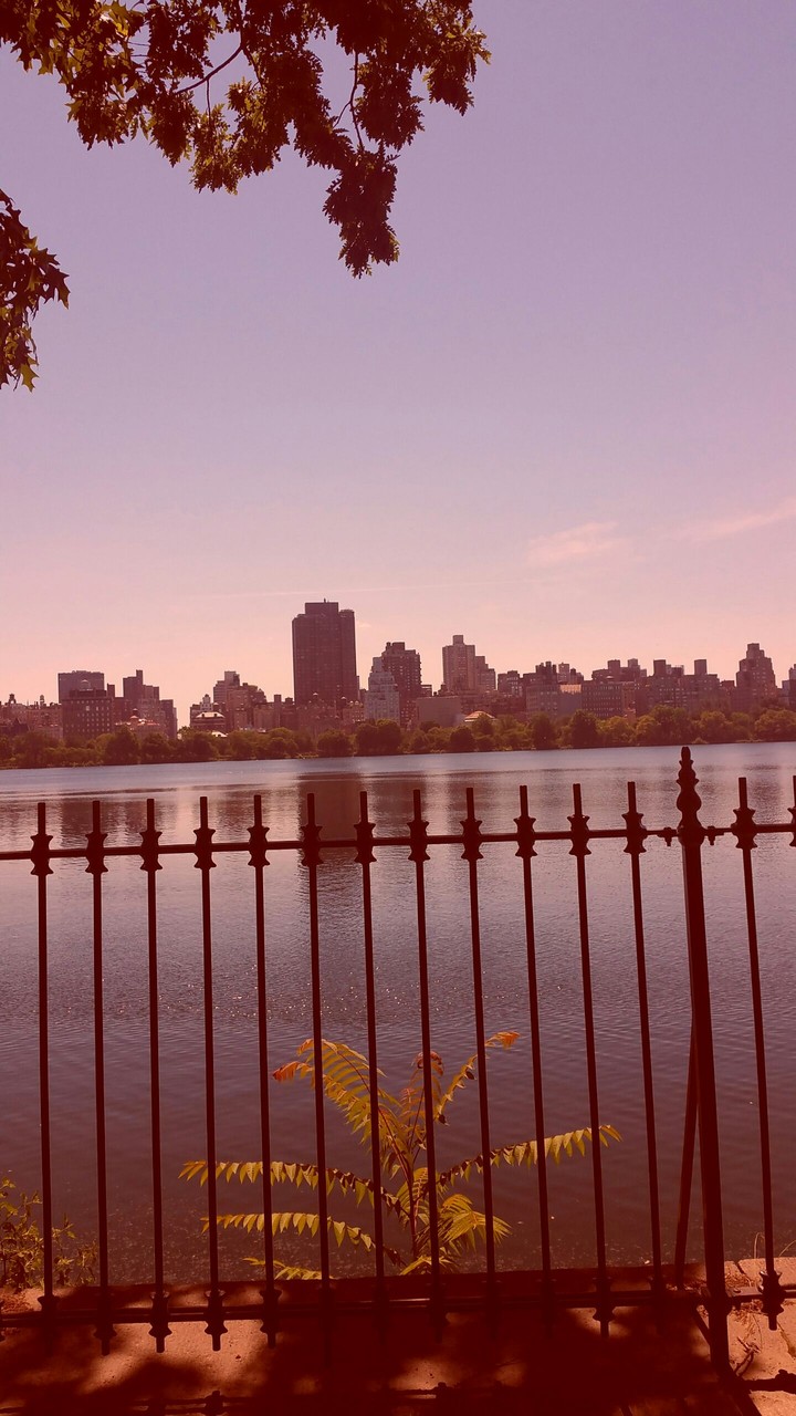 Central Park