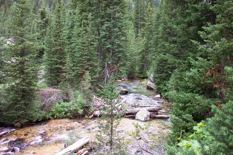 Cascade Creek 2