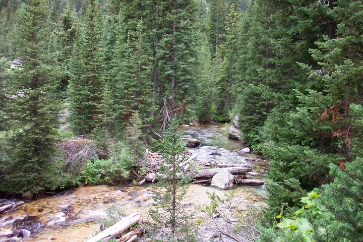 Cascade Creek 2