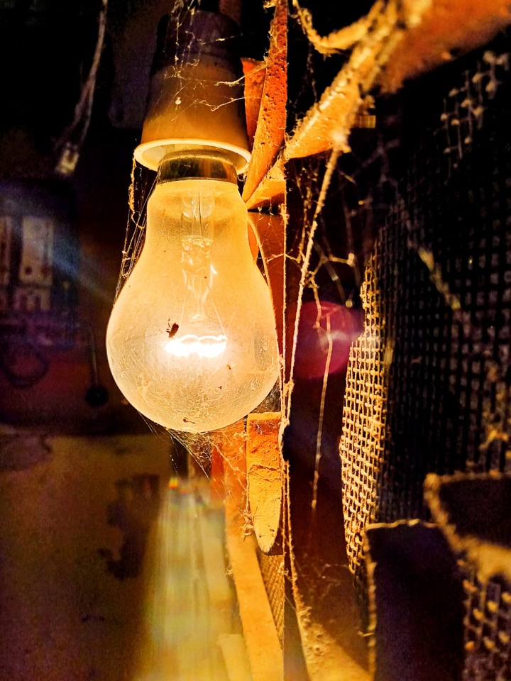 Old bulb