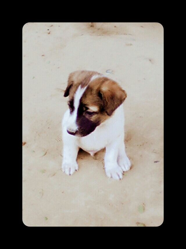 ☺