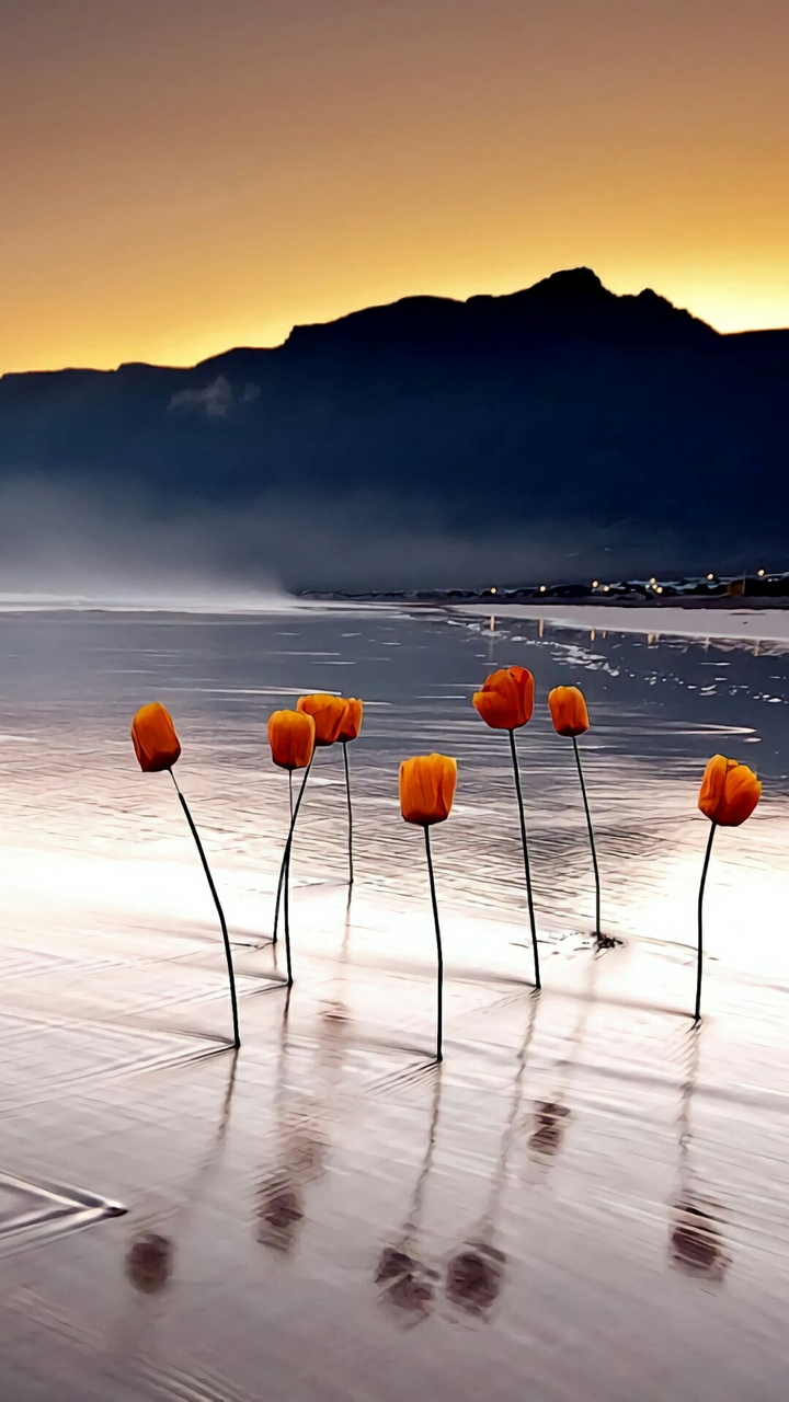 Natural Flowers