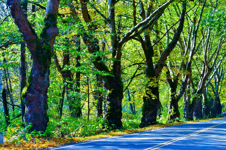 Road