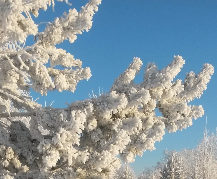 Winter