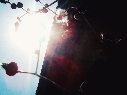 Ready to fly...