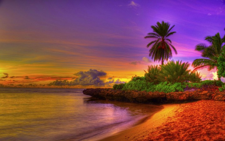 PURPLE SUNSET