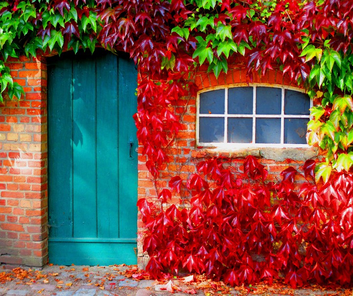 Autumn