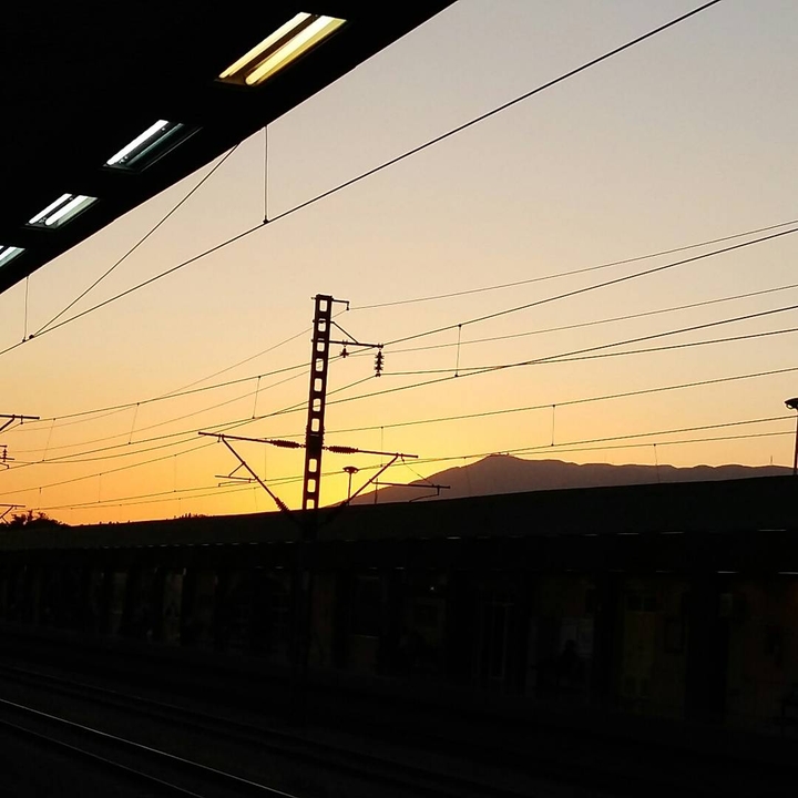 train