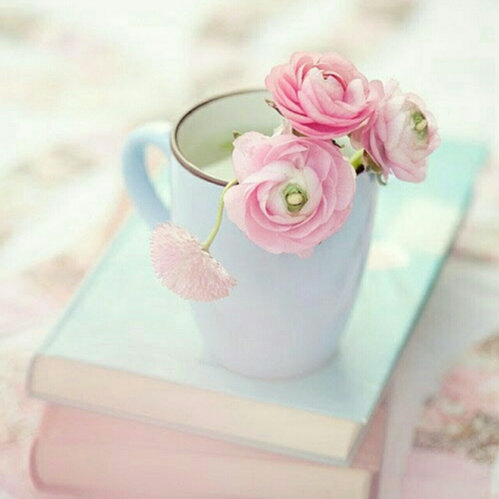 hermoso