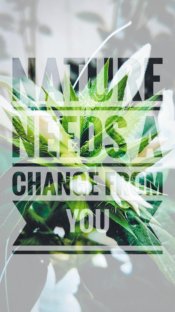 Nature Quotes